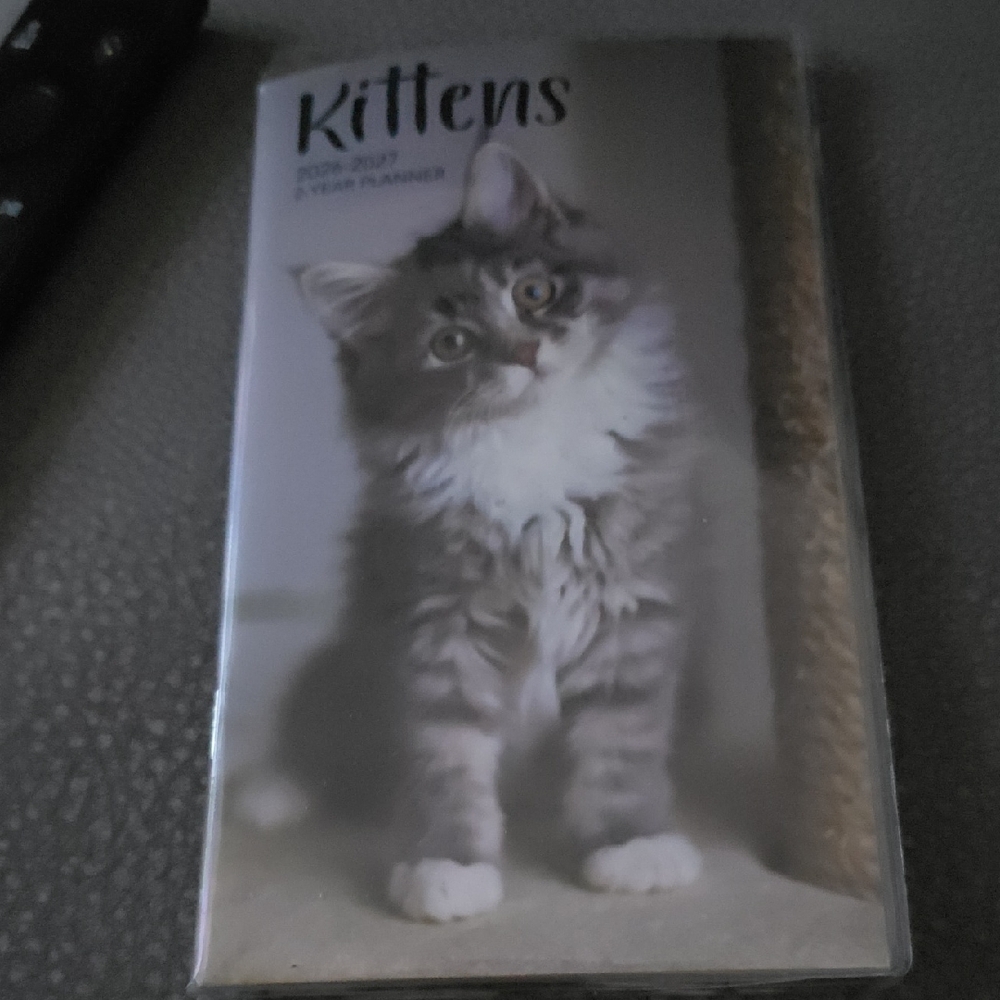 Kittens 2026-2027 Planner - Gray Cover